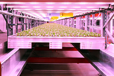 Vertical Farming